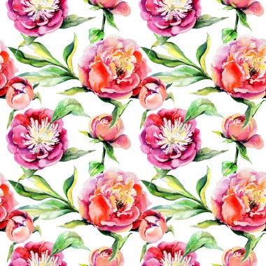 Kır çiçeği peony çiçek deseni suluboya tarzında.