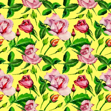 Kır çiçeği gül çiçek deseni suluboya tarzında.