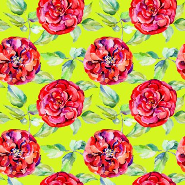 Kır çiçeği gül çiçek deseni suluboya tarzında.