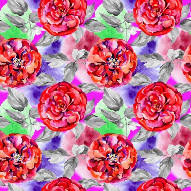 Kır çiçeği gül çiçek deseni suluboya tarzında.