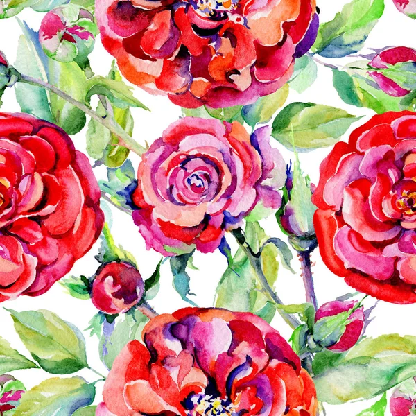 Kır çiçeği gül çiçek deseni suluboya tarzında.