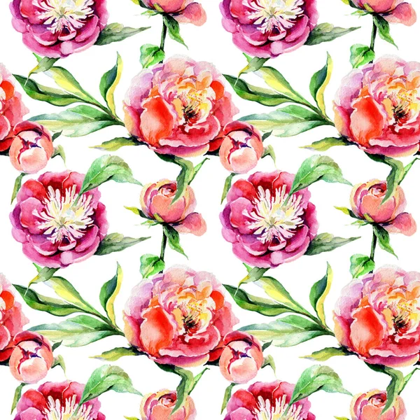 Kır çiçeği peony çiçek deseni suluboya tarzında.