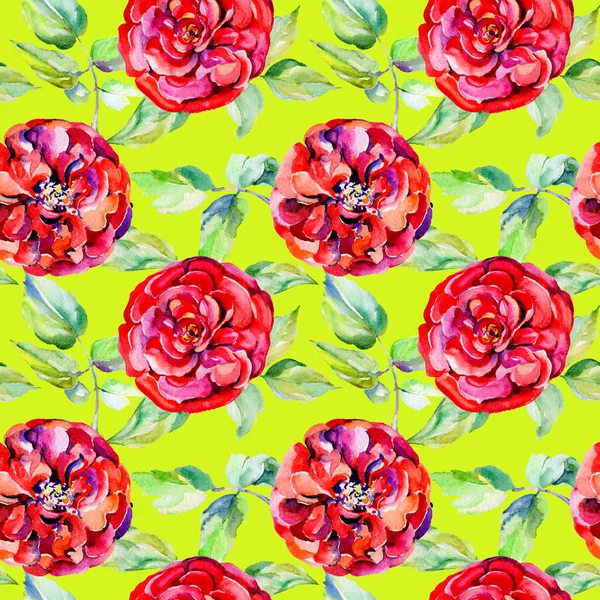 Kır çiçeği gül çiçek deseni suluboya tarzında.