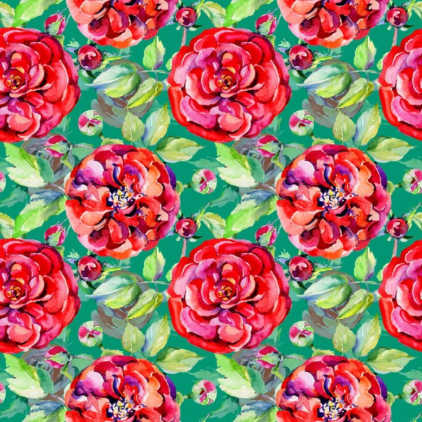 Kır çiçeği gül çiçek deseni suluboya tarzında.