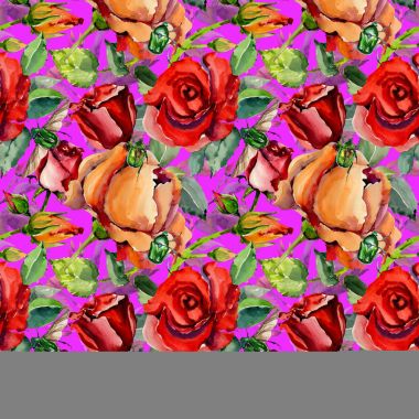 Kır çiçeği gül çiçek deseni suluboya tarzında.