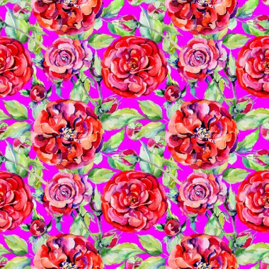 Kır çiçeği gül çiçek deseni suluboya tarzında.