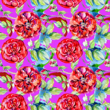 Kır çiçeği gül çiçek deseni suluboya tarzında.