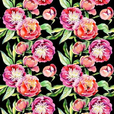 Kır çiçeği peony çiçek deseni suluboya tarzında.