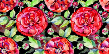 Kır çiçeği gül çiçek deseni suluboya tarzında.