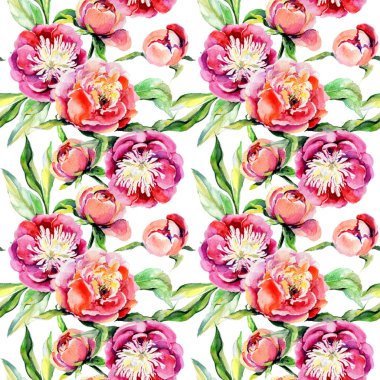 Kır çiçeği peony çiçek deseni suluboya tarzında.