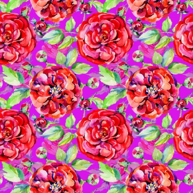 Kır çiçeği gül çiçek deseni suluboya tarzında.