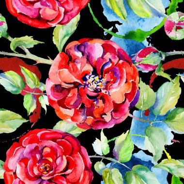 Kır çiçeği gül çiçek deseni suluboya tarzında.