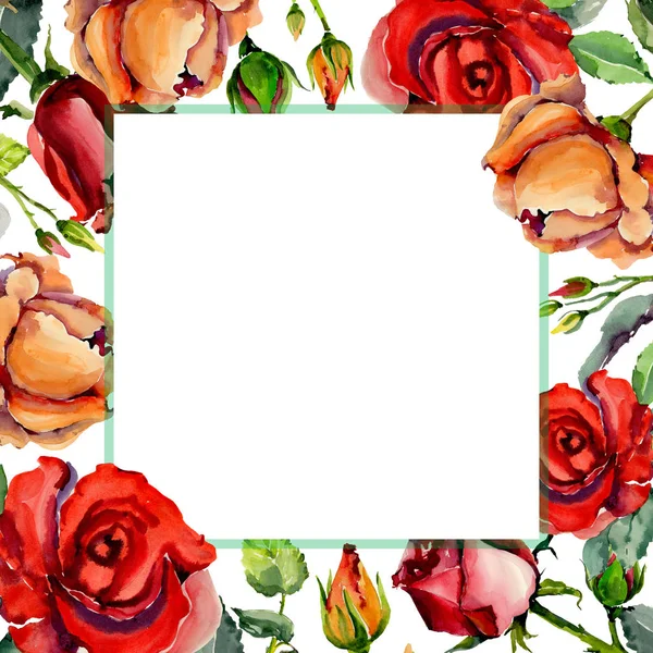 Wildflower ros blomma ram i akvarell stil. — Stockfoto