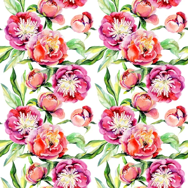 Kır çiçeği peony çiçek deseni suluboya tarzında.