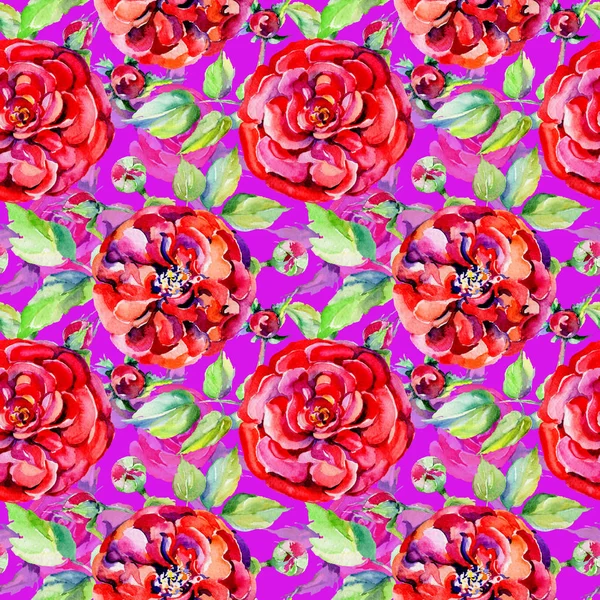 Vadvirág Rózsa virág minta akvarell stílusú. — Stock Fotó
