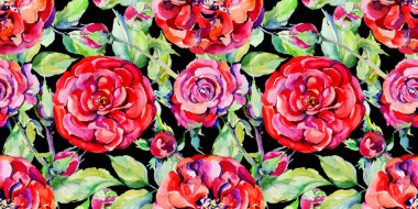 Kır çiçeği gül çiçek deseni suluboya tarzında.