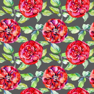 Kır çiçeği gül çiçek deseni suluboya tarzında.