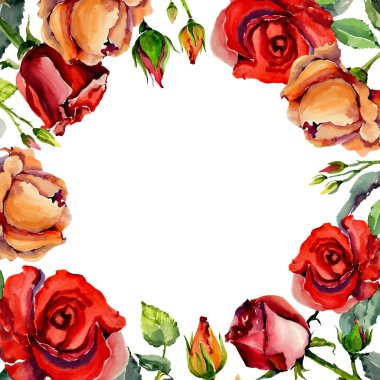 Kır çiçeği gül çiçek çerçeve suluboya tarzında.