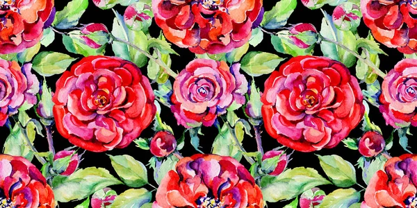 Цветок полевой розы узор в стиле акварели . — стоковое фото