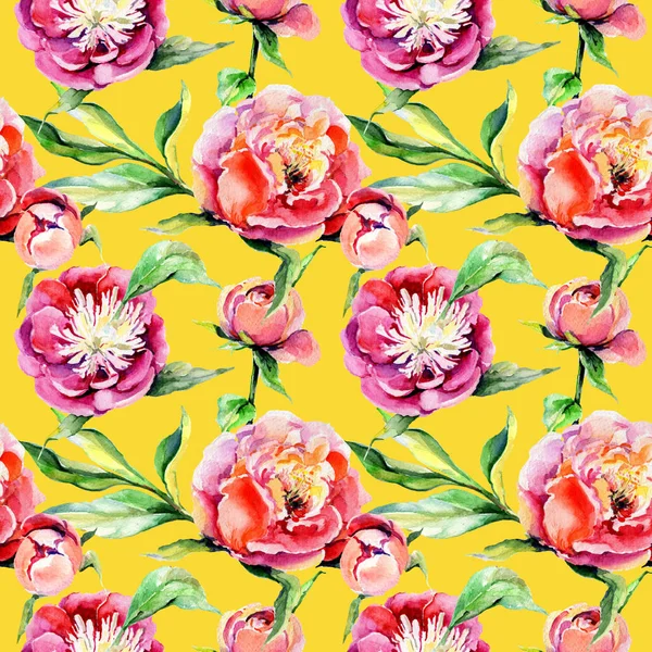 Kır çiçeği peony çiçek deseni suluboya tarzında.