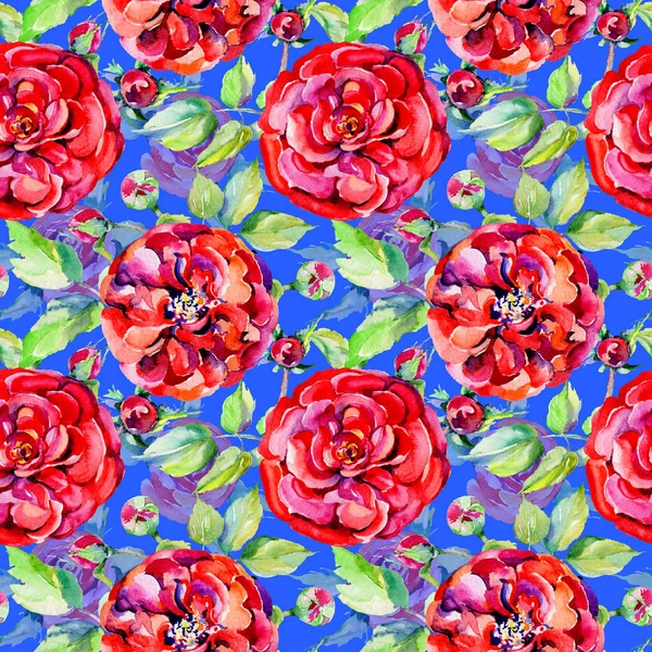 Wildflower rose flower pattern in a watercolor style. — Stock Photo, Image