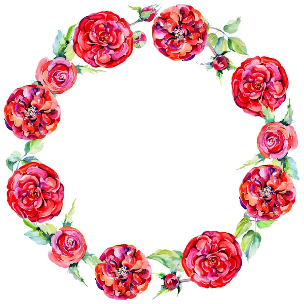 Vadvirág Rózsa Virág Koszorú akvarell stílusú. — Stock Fotó