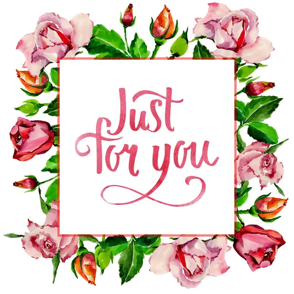 Kır çiçeği gül çiçek çerçeve suluboya tarzında.