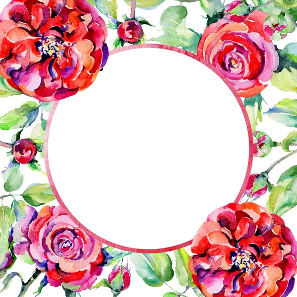 Kır çiçeği gül çiçek çerçeve suluboya tarzında.