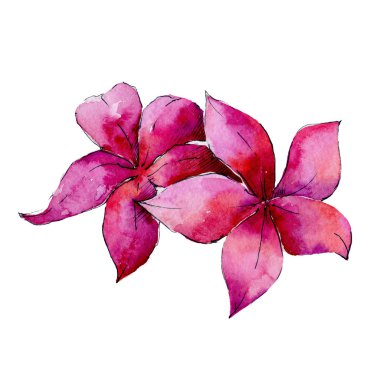 Tropikal Hawaii palmiye ağacı izole bir suluboya tarzında bırakır..