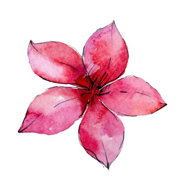 Tropikal Hawaii palmiye ağacı izole bir suluboya tarzında bırakır..