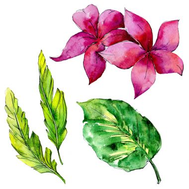 Tropikal Hawaii palmiye ağacı izole bir suluboya tarzında bırakır..