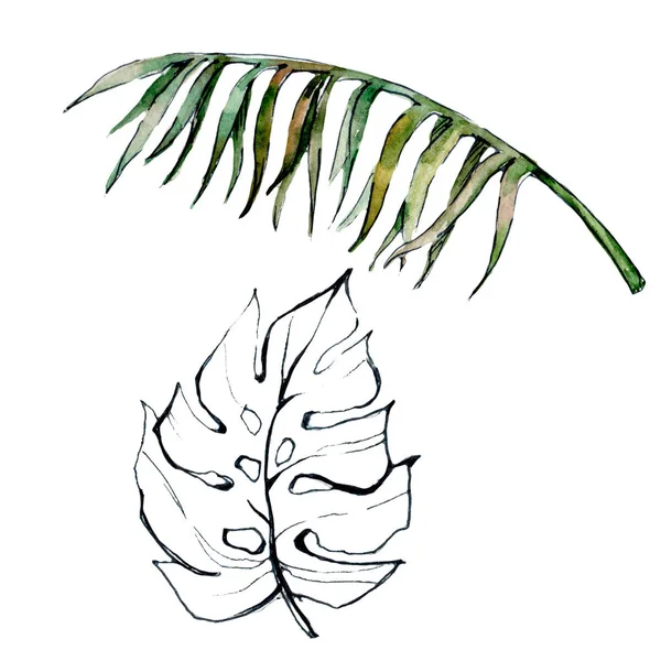 Tropické Hawaii listy palmy ve stylu akvarelu, samostatný. — Stock fotografie