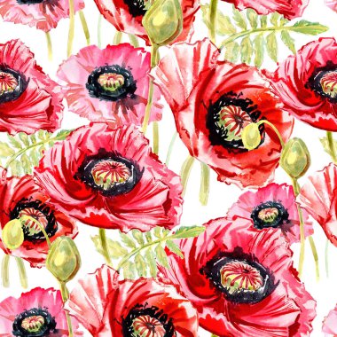 Kır çiçeği haşhaş çiçek deseni suluboya tarzında.