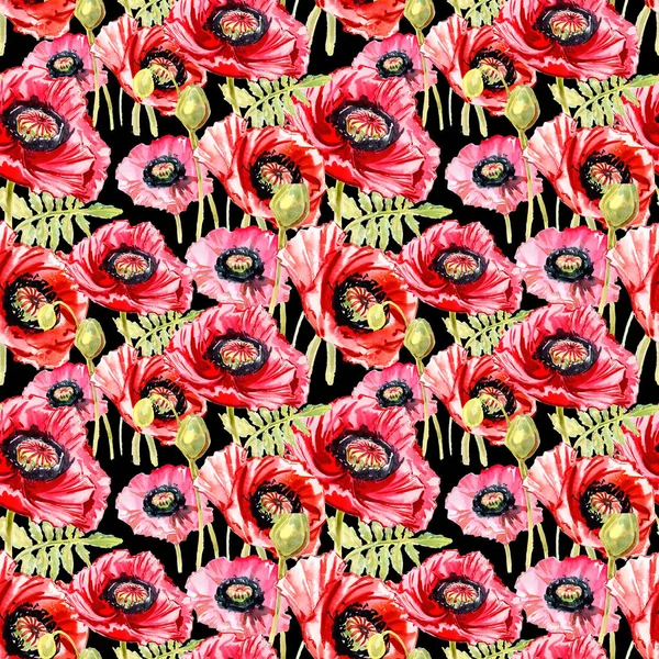 Kır çiçeği haşhaş çiçek deseni suluboya tarzında.