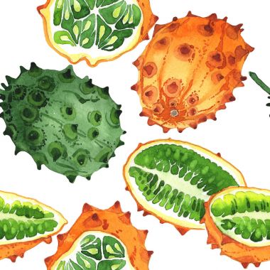 Egzotik kiwano yabani meyve deseni suluboya tarzında.