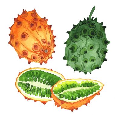 Egzotik kiwano yabani meyve izole bir suluboya tarzında.