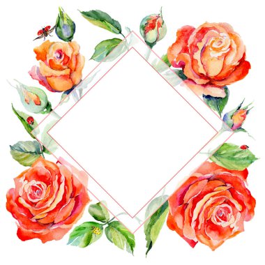 Kır çiçeği gül çiçek çerçeve suluboya tarzında.