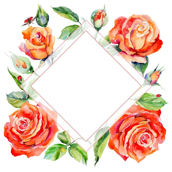 Kır çiçeği gül çiçek çerçeve suluboya tarzında.