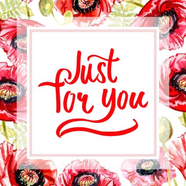 Kır çiçeği haşhaş çiçek çerçeve suluboya tarzında.