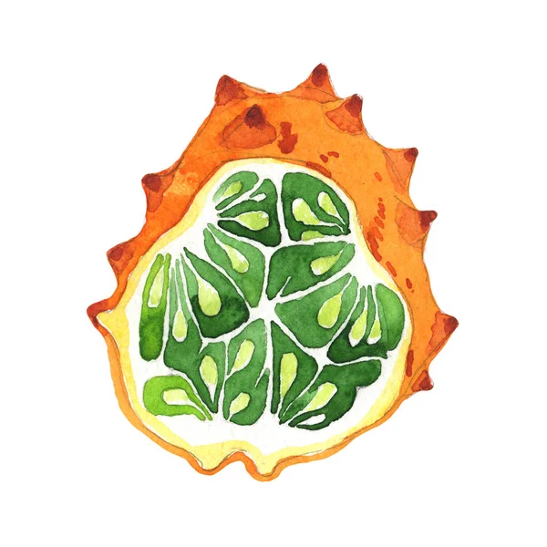 Egzotik kiwano yabani meyve izole bir suluboya tarzında.