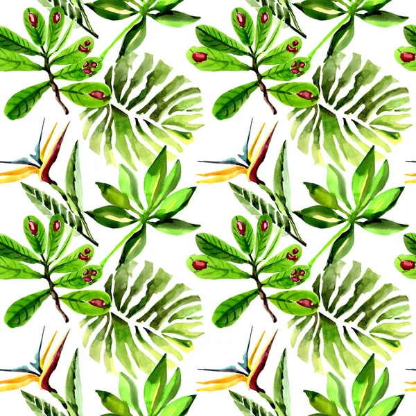 Tropikal Hawaii palmiye ağacı desen bir suluboya tarzında bırakır..