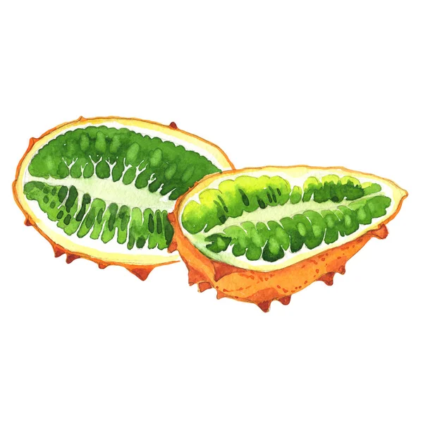 Exotic kiwano wild fruit in a watercolor style isolated. — Stock Photo, Image