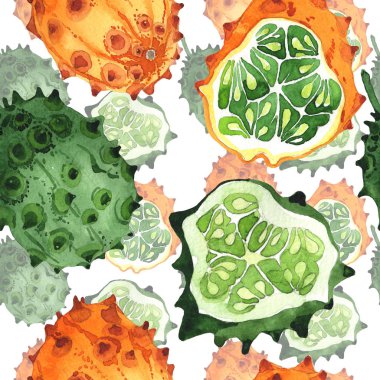 Egzotik kiwano yabani meyve deseni suluboya tarzında.