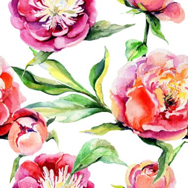 Kır çiçeği peony çiçek deseni suluboya tarzında.