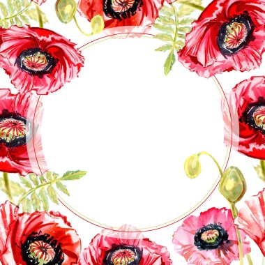 Kır çiçeği haşhaş çiçek çerçeve suluboya tarzında.