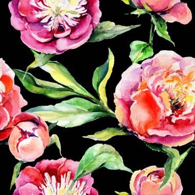 Kır çiçeği peony çiçek deseni suluboya tarzında.