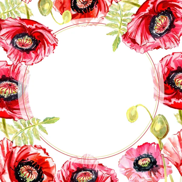 Kır çiçeği haşhaş çiçek çerçeve suluboya tarzında.