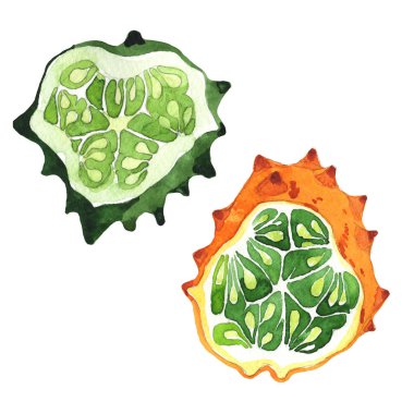 Egzotik kiwano yabani meyve izole bir suluboya tarzında.