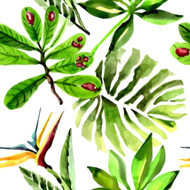 Tropikal Hawaii palmiye ağacı desen bir suluboya tarzında bırakır..