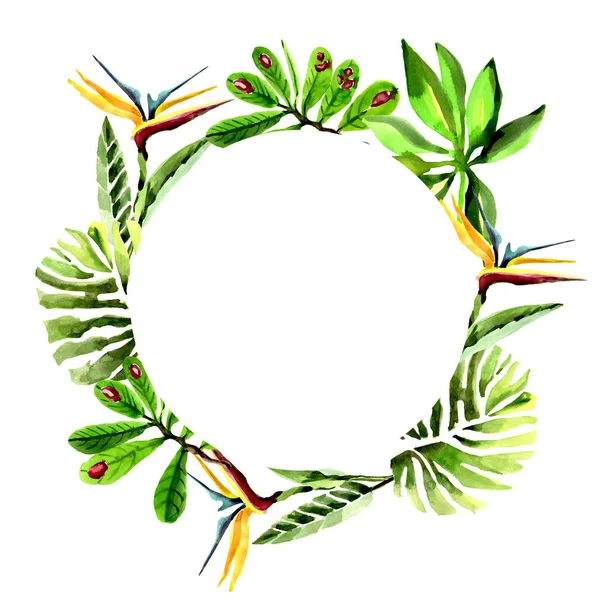 Tropikal Hawaii palmiye ağacı çelenk suluboya tarzında bırakır..